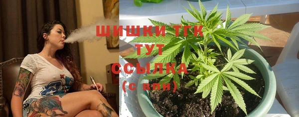 PSILOCYBIN Верея