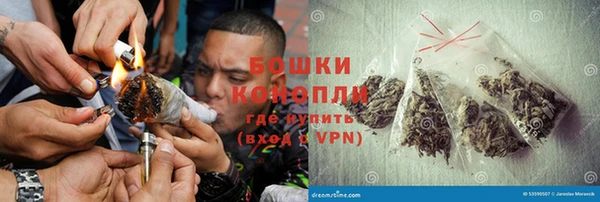 PSILOCYBIN Верея