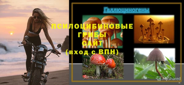 герыч Бородино