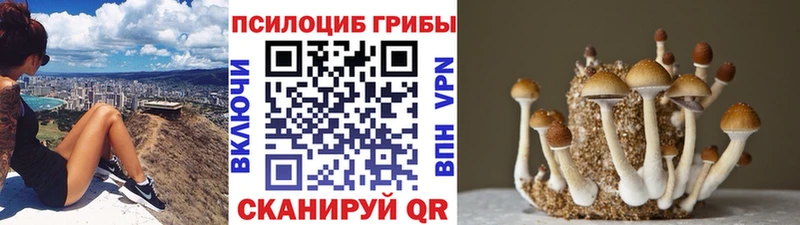 Галлюциногенные грибы прущие грибы  как найти закладки  Невьянск 
